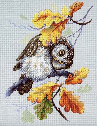 (image for) Owl Look